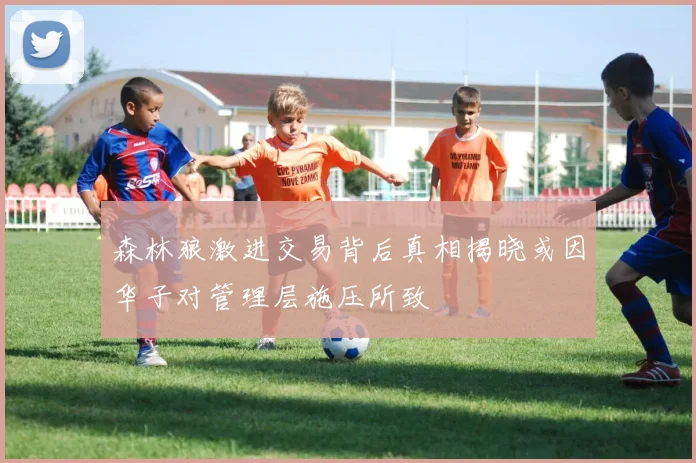 森林狼激进交易背后真相揭晓或因华子对管理层施压所致